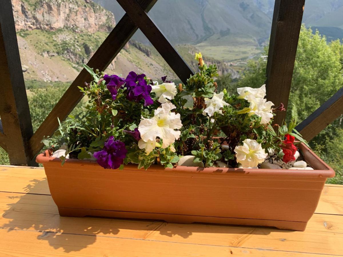 View Villa Kazbegi Eksteriør billede